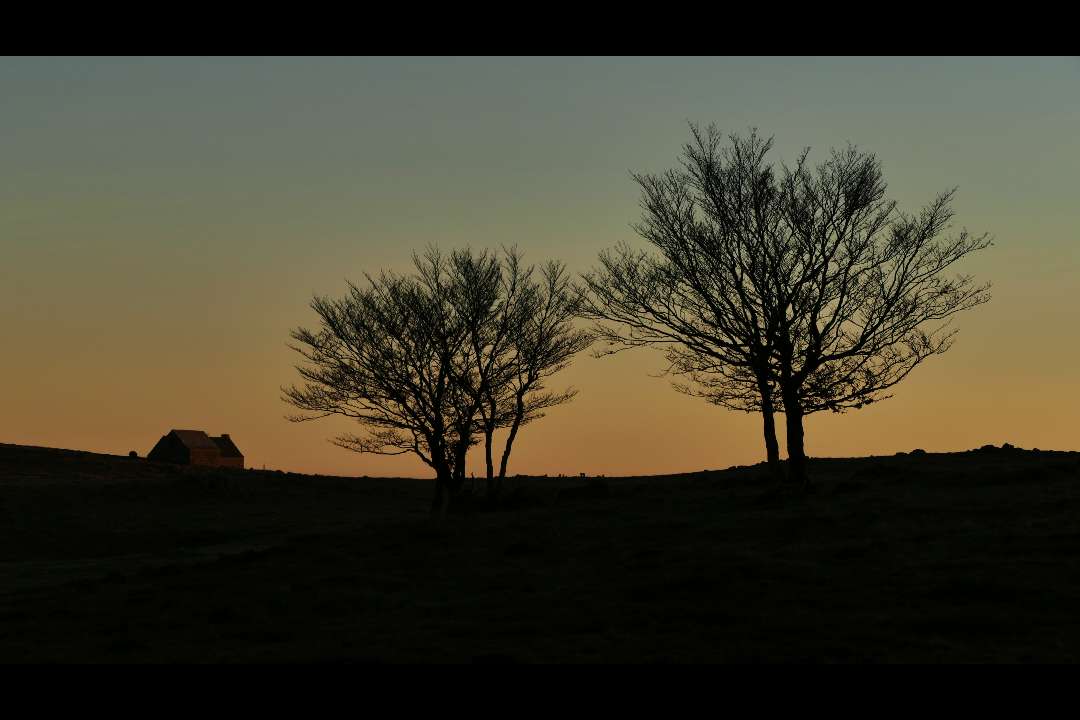 Paysage Paysage